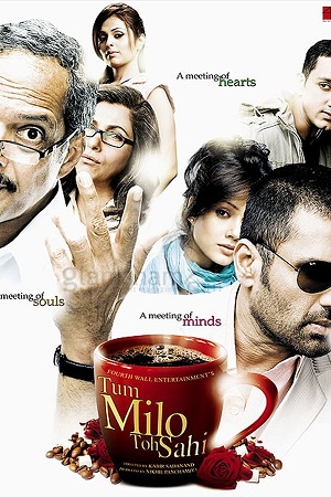 Download Tum Milo Toh Sahi (2010) WebRip Hindi ESub 480p 720p