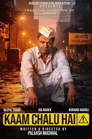 Download Kaam Chalu Hai (2024) WebRip Hindi ESub 480p 720p