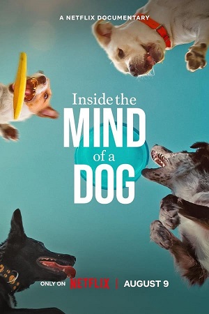 Download Inside the Mind of a Dog (2024) WebRip [Hindi + English] ESub 480p 720p