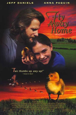 Download Fly Away Home (1996) BluRay [Hindi + Tamil + English] ESub 480p 720p