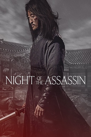 Download Night of the Assassin (2023) WebRip [Hindi + Tamil + Korean] ESub 480p 720p