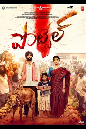 Download Pottel (2024) WebRip Telugu ESub 480p 720p