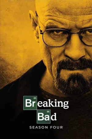 Download Breaking Bad (2011) Season 4 BluRay [Hindi + English] S04 ESub 480p 720p - Complete