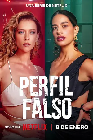 Download Fake Profile (2025) Season 2 WebRip [Hindi + English] S02 ESub 480p 720p - Complete