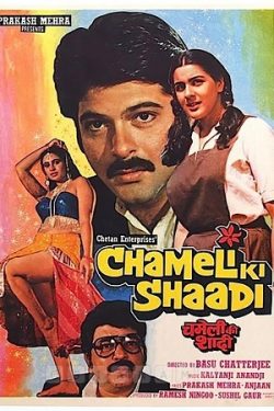 Download Chameli Ki Shaadi (1986) WebRip Hindi ESub 480p 720p