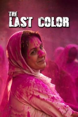 Download The Last Color (2019) WebRip Hindi ESub 480p 720p