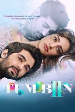 Download Tum Bin 2 (2016) WebDl Hindi ESub 480p 720p