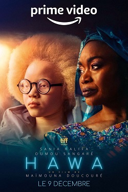 Hawa (2022) WebDl [Hindi + English] ESub 480p 720p 1080p Download - Watch Online